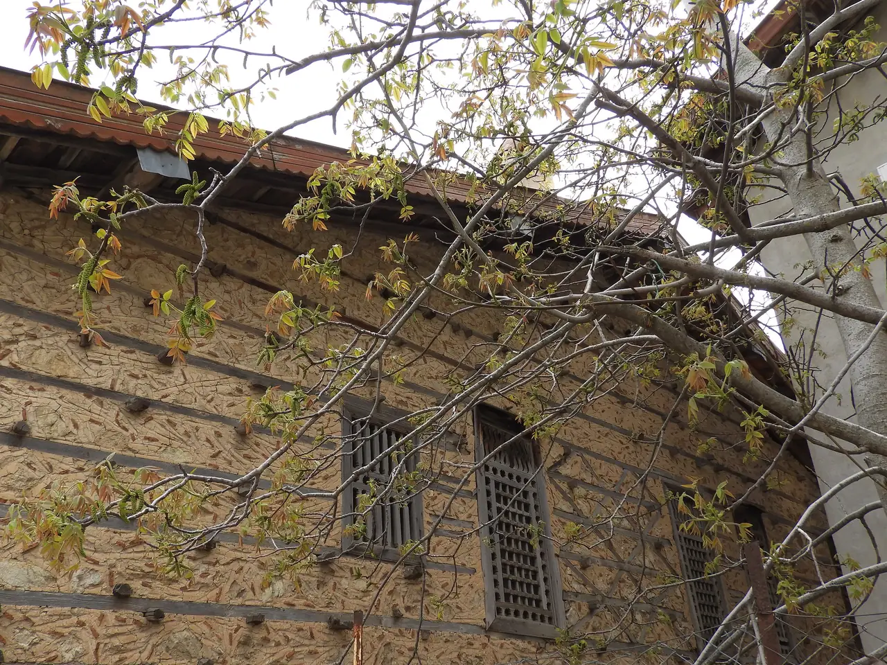 Jaskinia Altınbeşik i Ormana
