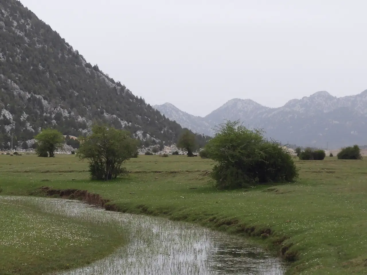 Jaskinia Altınbeşik i Ormana