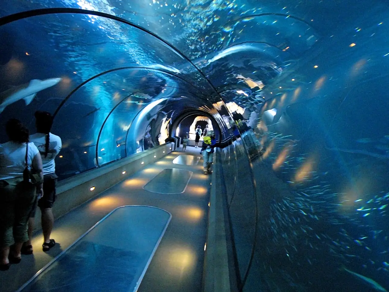 Antalya Aquarium