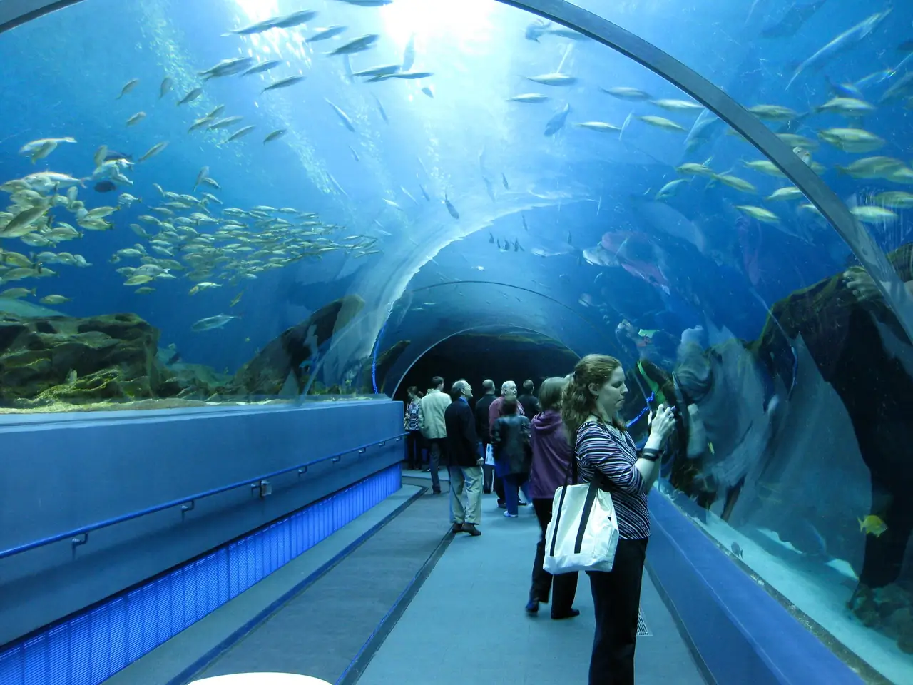 Antalya Aquarium