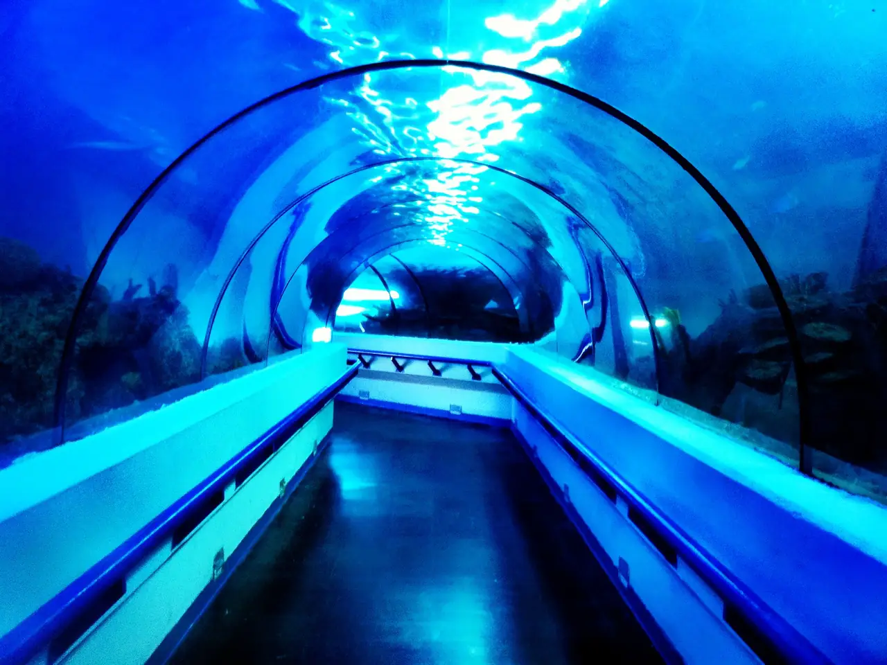 Antalya Aquarium