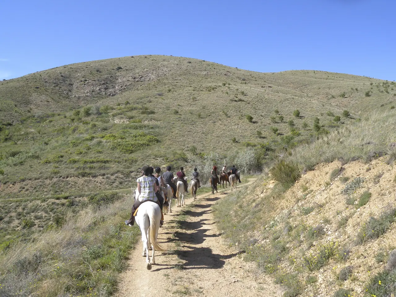 Horseback Riding