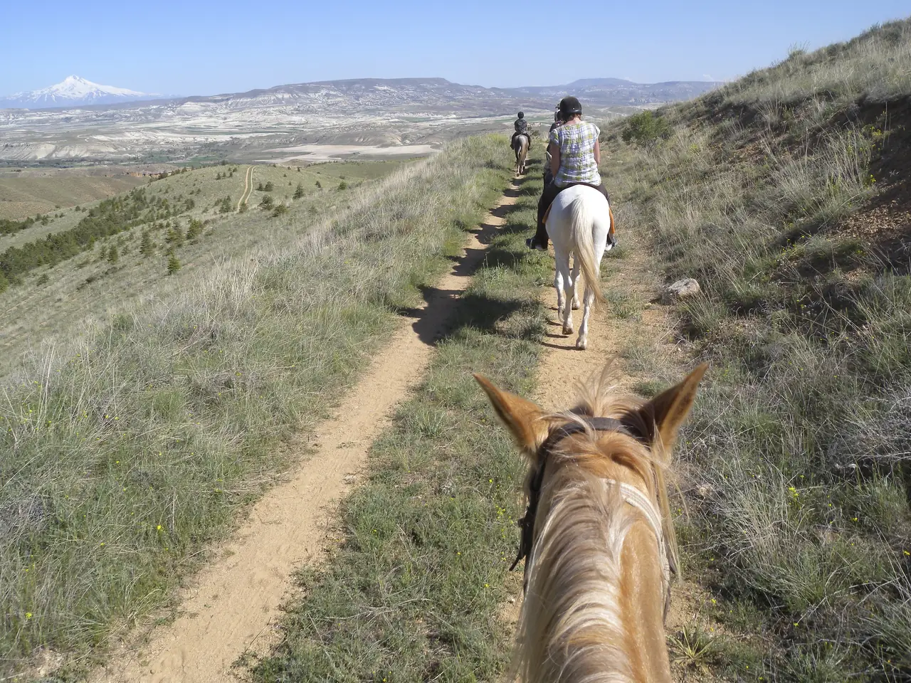Horseback Riding