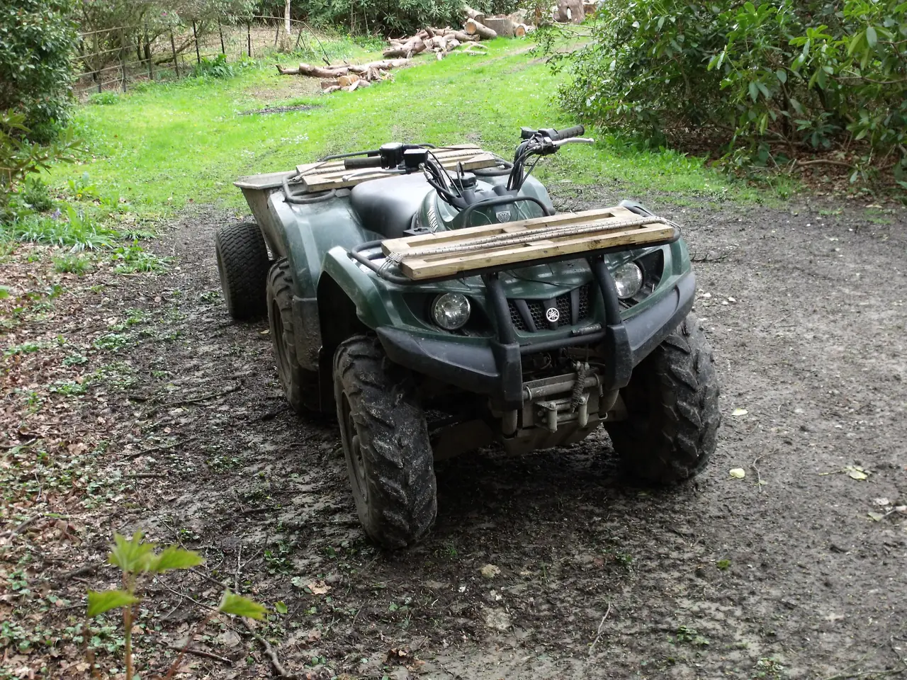 Quad Safari