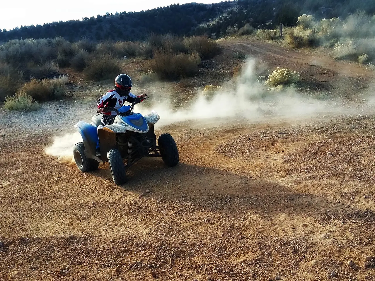 Buggy-safari