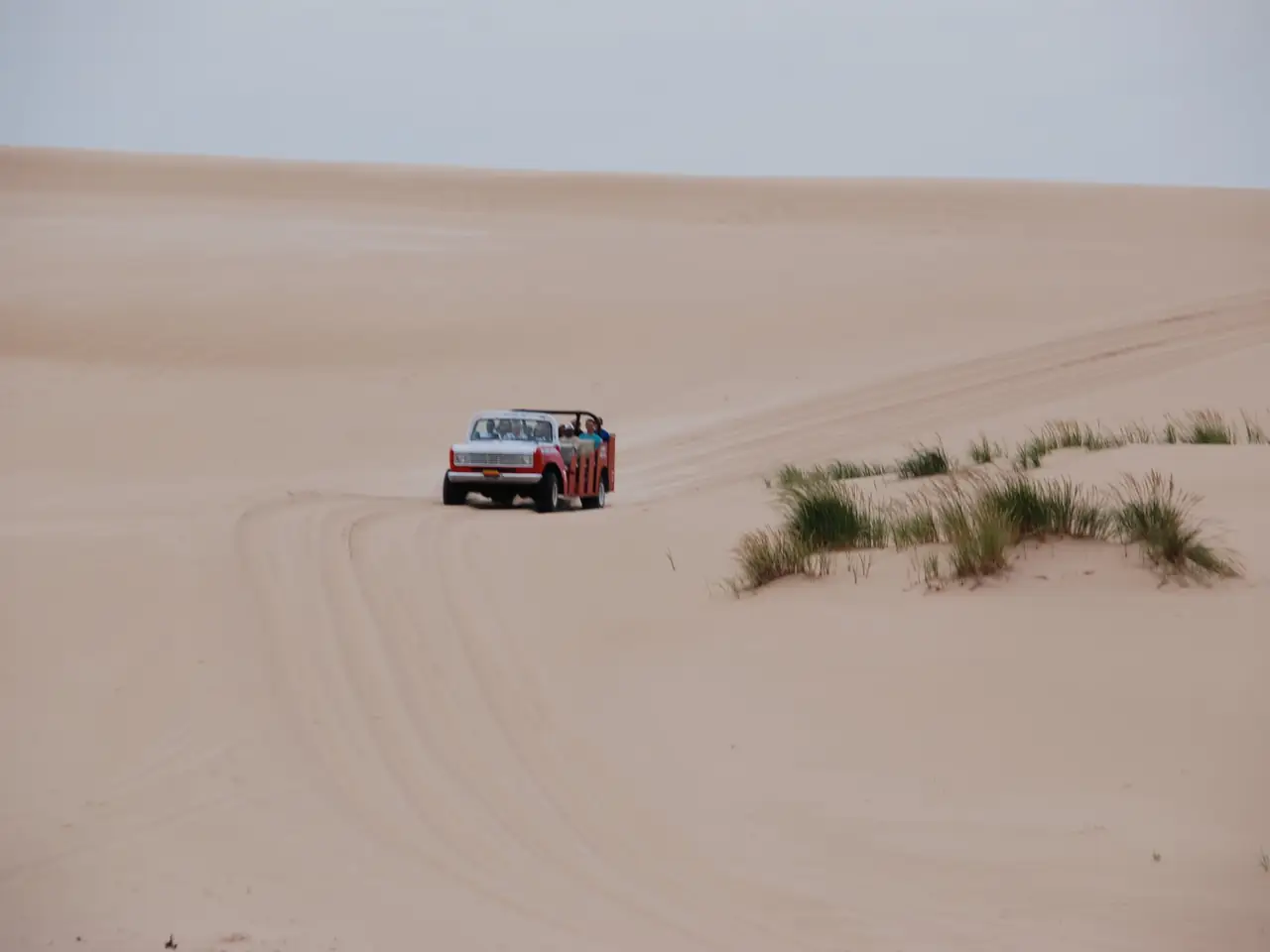 Buggy-safari