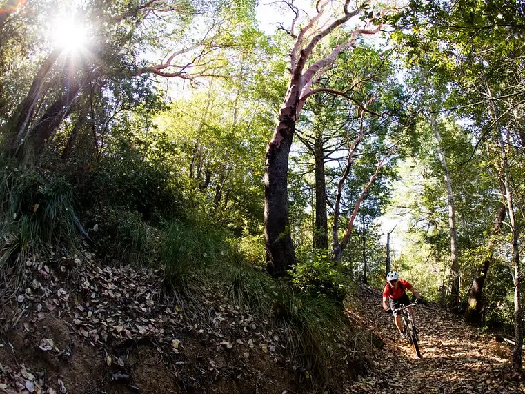 Kaş Mountain Bike Tour