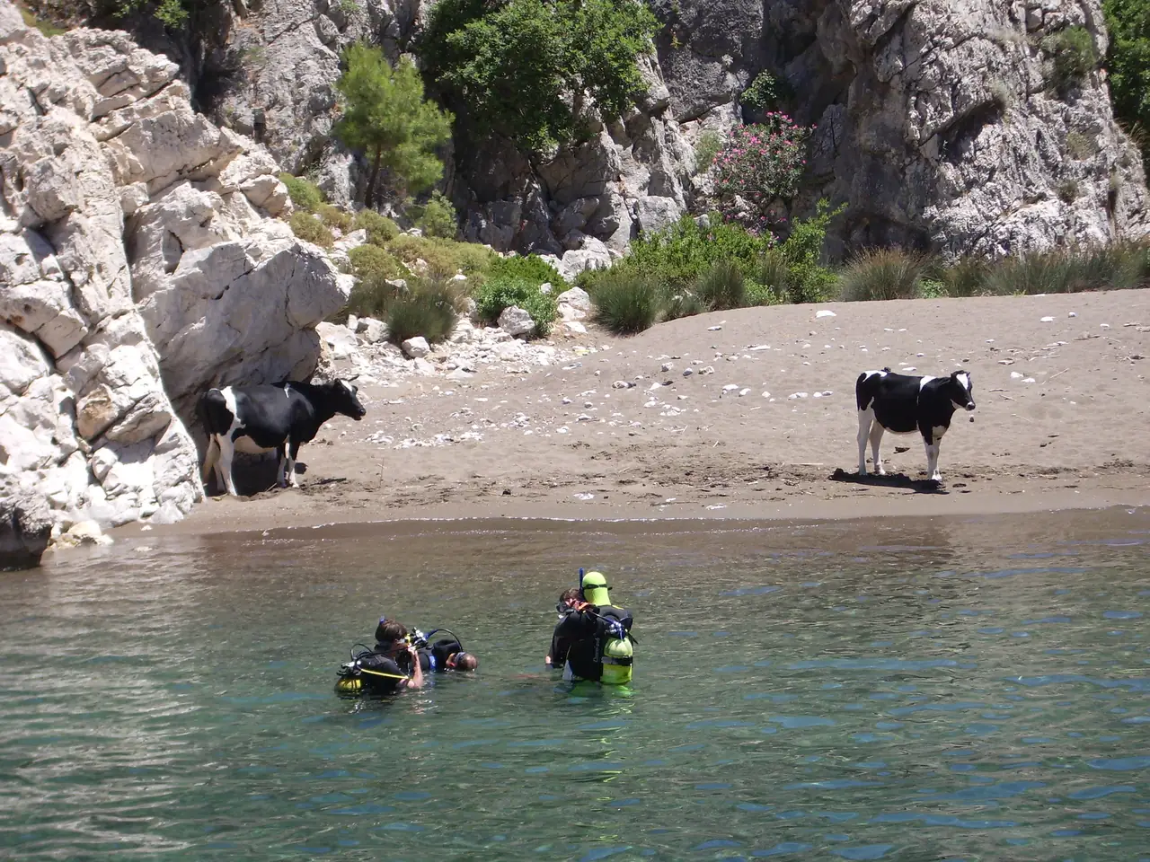 Scuba Diving Day