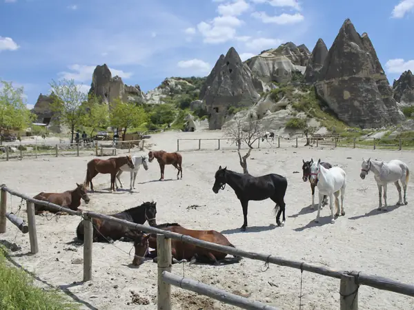 Horse Riding in Cappadocia